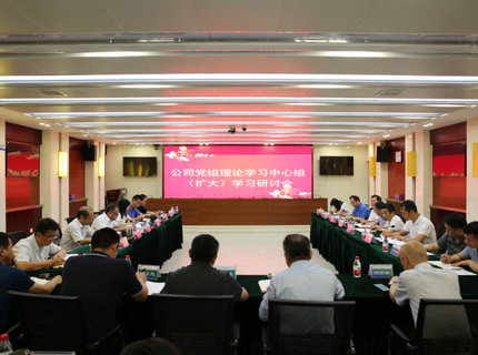 jcjc5500公海贵宾会公司党组理论进建中心组发展主题教育第五次集中进建钻研