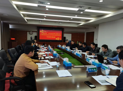 公司组织召开电站设备运行安全专家技术征询会议
