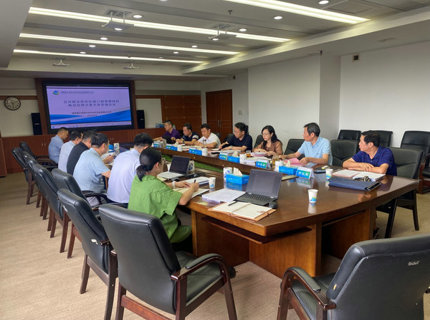 公司召开宜冲桥水库前期工作推动调度会