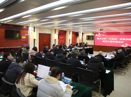 jcjc5500公海贵宾会公司召开“十五五”发展战术规划纲领审查会