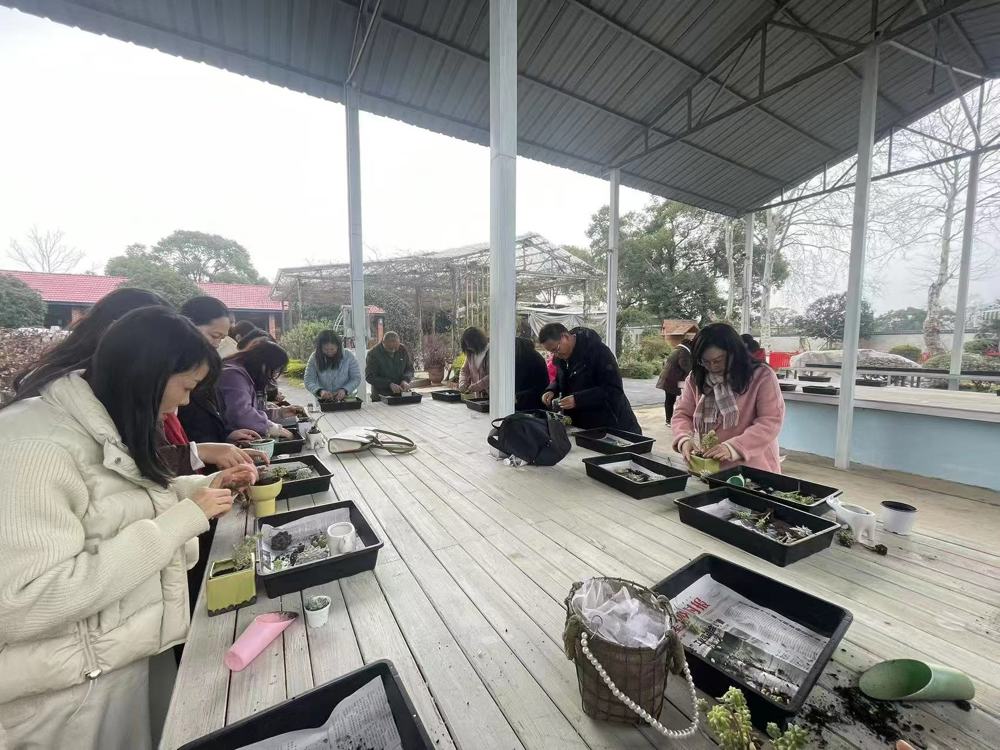 19a08b74471a483e91191359285f71fa