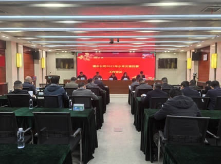 公司召开2025年水旱灾害防御工作会议