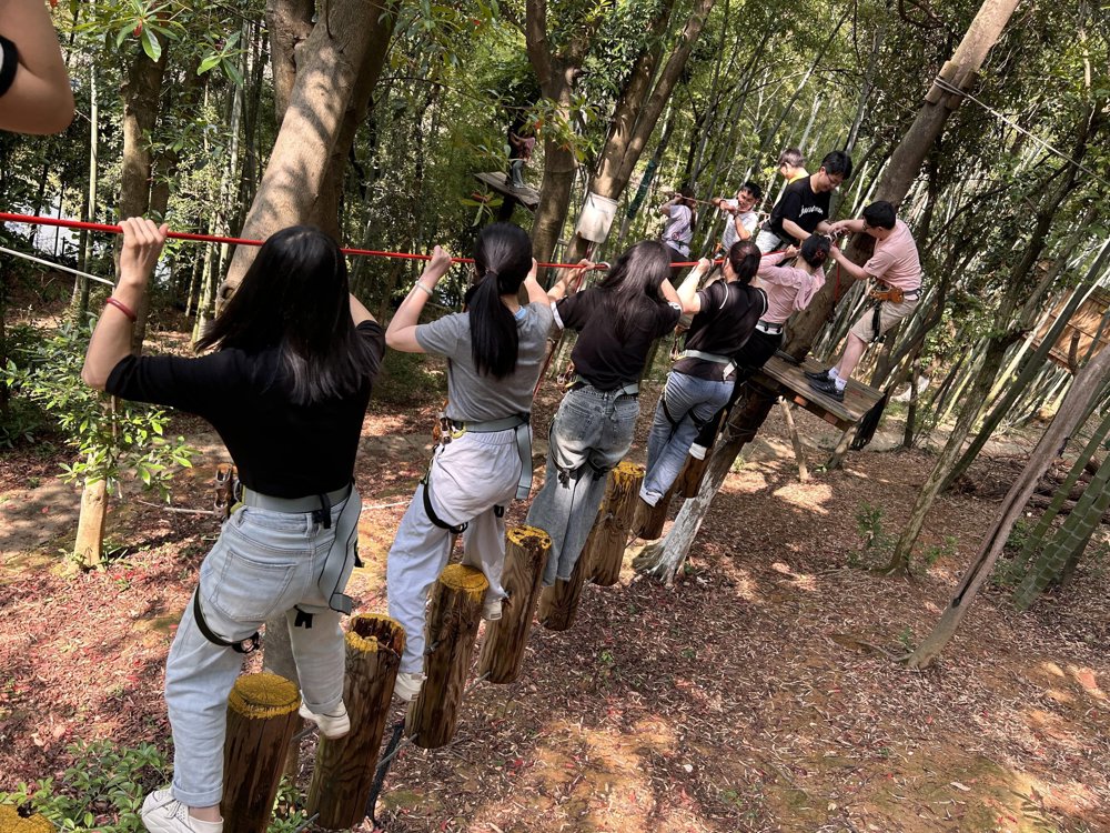 9eade583856048bbad930a56112358db