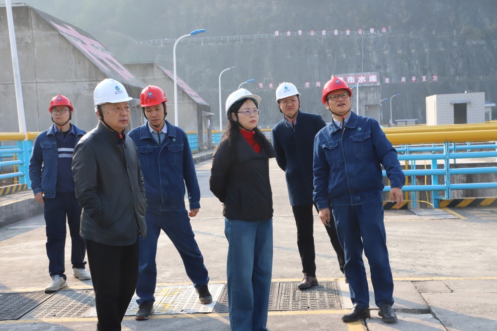 c1405bd647d24722b943b9d786e02738