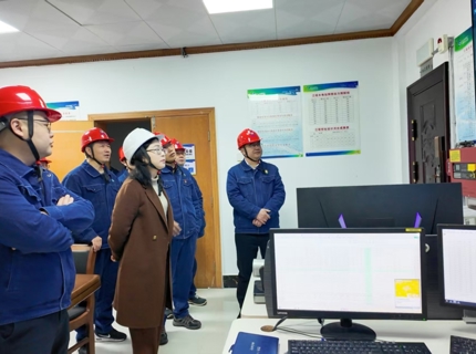 陈印辉到江垭水电站发展汛前安全查抄