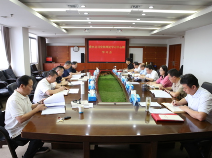 公司党组理论进建中心组集中进建习近平党建思想和习近平总书记沉要讲话心灵